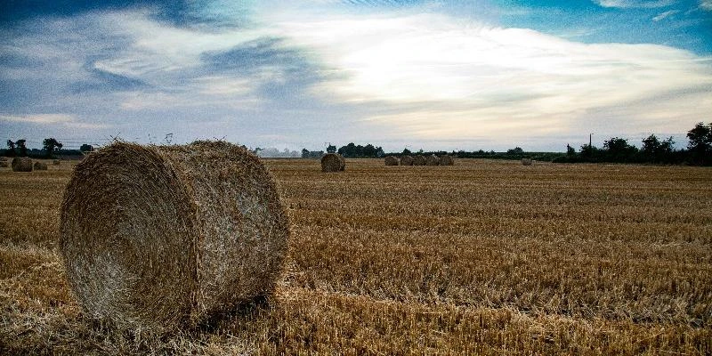 Analyse Agrotechnique en BTS TSMA Analyse Agrotechnique en BTS TSMA