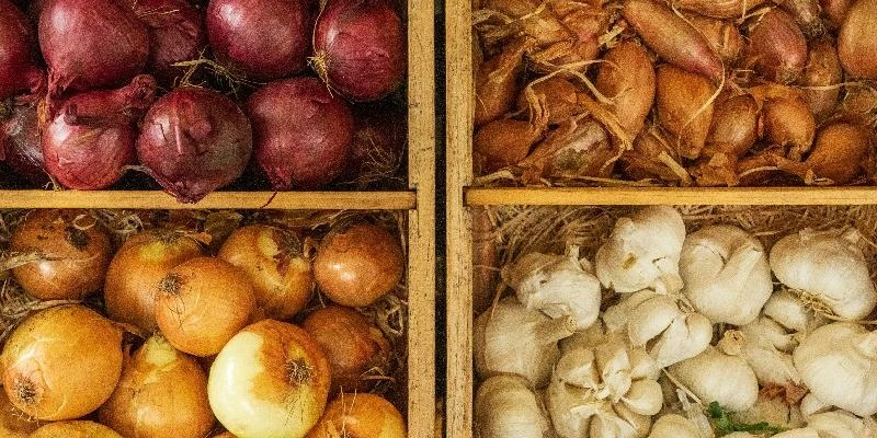 BTS TSMA (Techniques et Services en Matériels Agricoles) : Évolution de Carrière BTS TSMA (Techniques et Services en Matériels Agricoles) : Évolution de Carrière