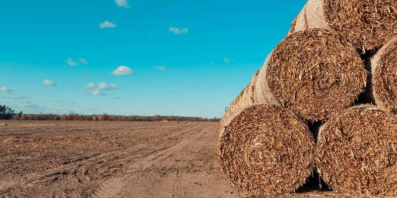 BTS TSMA (Techniques et Services en Matériels Agricoles) : Programme Complet