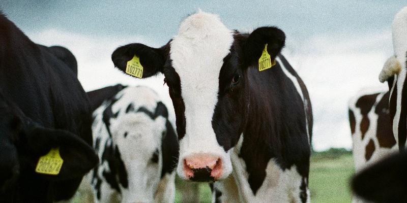 Le Rôle du Technico-Commercial en Matériel Agricole Le Rôle du Technico-Commercial en Matériel Agricole