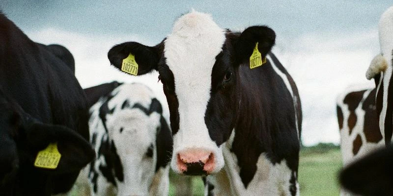 Le Rôle du Technico-Commercial en Matériel Agricole